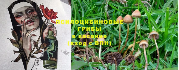 a pvp Алзамай