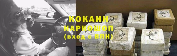 соль ск Алексин