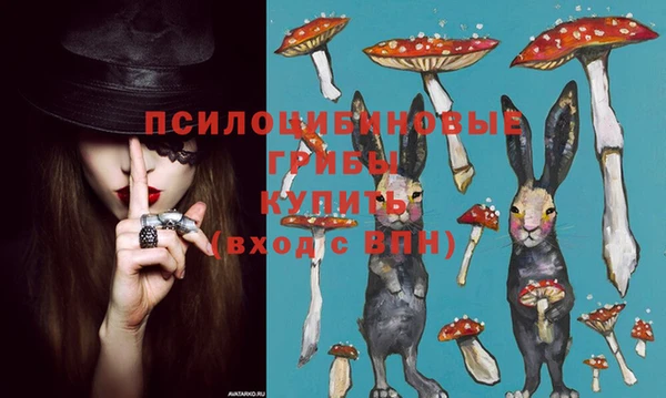 a pvp Алзамай