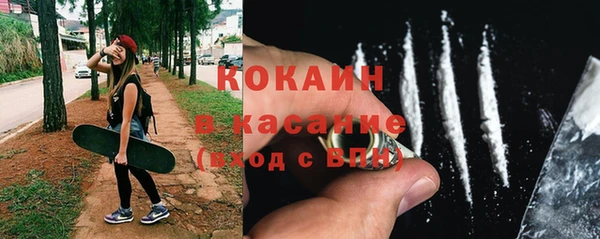 соль ск Алексин
