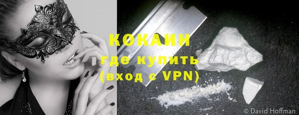 соль ск Алексин