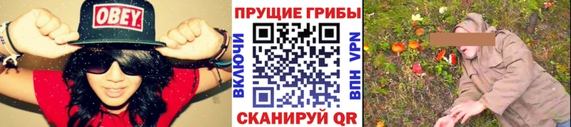 Псилоцибиновые грибы Magic Shrooms  Пугачёв 